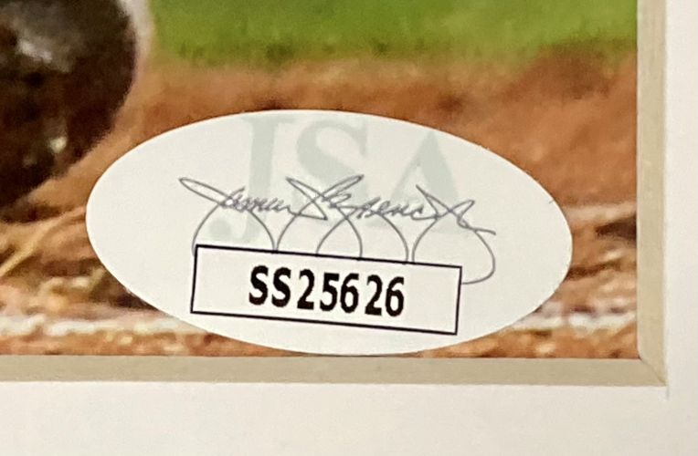 Vladimir Guerrero Jr. Signed Framed 16x20 Toronto Blue Jays Spotlight Photo JSA