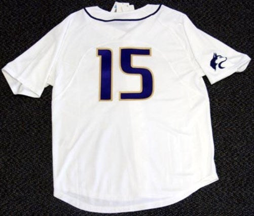 Washington Huskies Danielle Lawrie Autographed White Nike Jersey "09 Champs" Size L MCS Holo Stock
