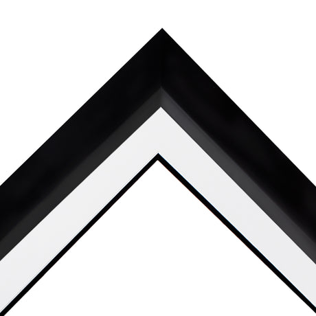 Custom DIY Frame for 11x14 Photo - Premium Black 2" Frame with White/Black Double Matting (Overall Dimensions 17.5" x 21.5") - PristineMarketplace