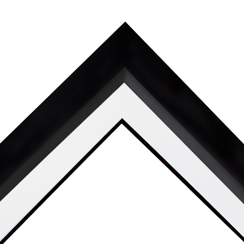 Custom DIY Frame for 11x14 Photo - Premium Black 2" Frame with White/Black Double Matting (Overall Dimensions 17.5" x 21.5") - PristineMarketplace